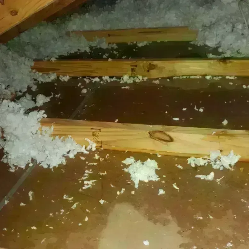 Attic Water Damage in Blanchester, OH